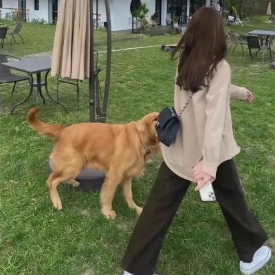 甜性涩爱
